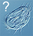 Bestimmungshilfe gesucht