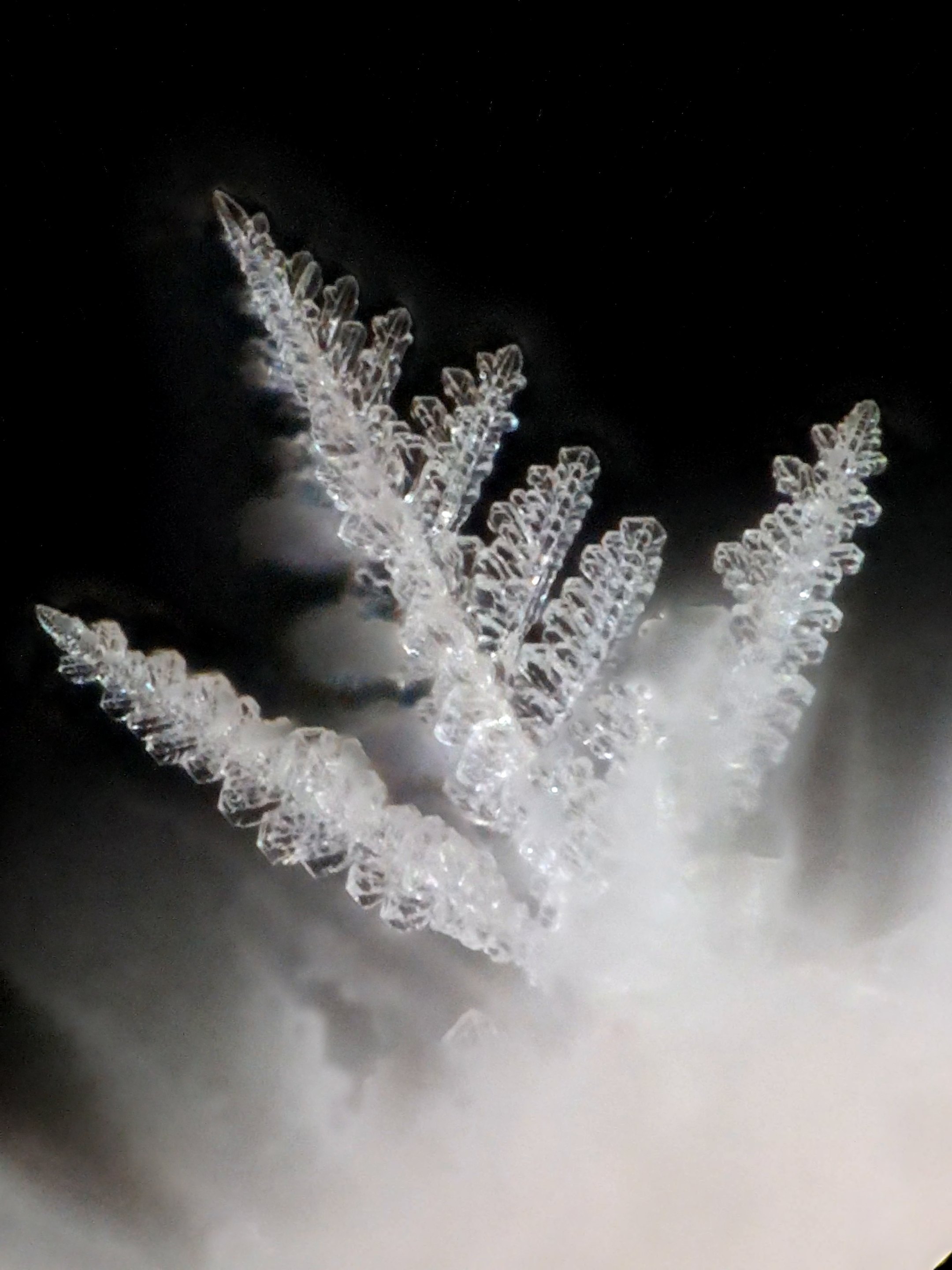Eiskristalle Stack aus Video 04-24 3.jpg