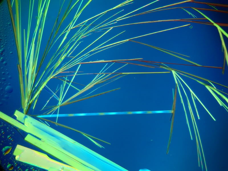 Piperin aus schwarzem Pfeffer