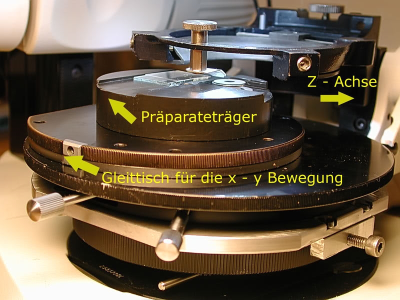 Gelegte Präparate von Amöbenschalen - angehängtes Howto