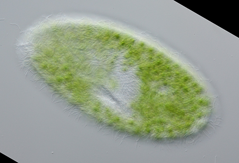 Meine ersten Erkenntnisse aus dem