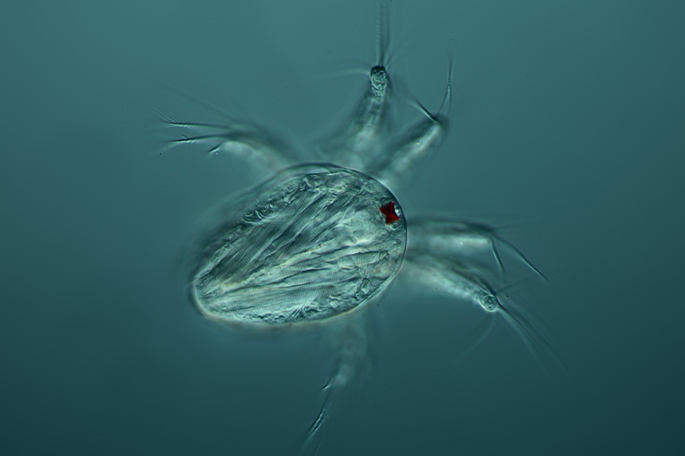 Nauplius Impressionen