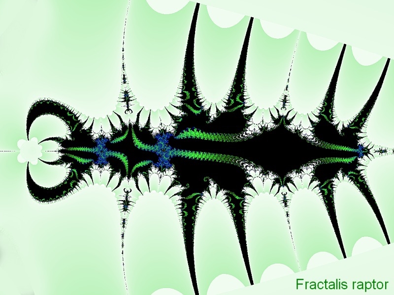 Fractalis raptor O.T.