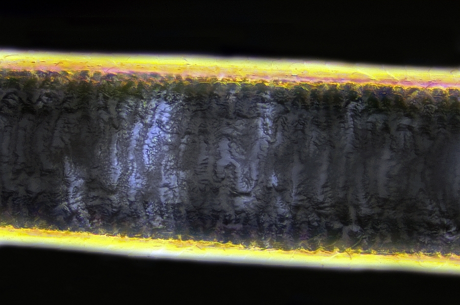 Trainingslager Ortholux