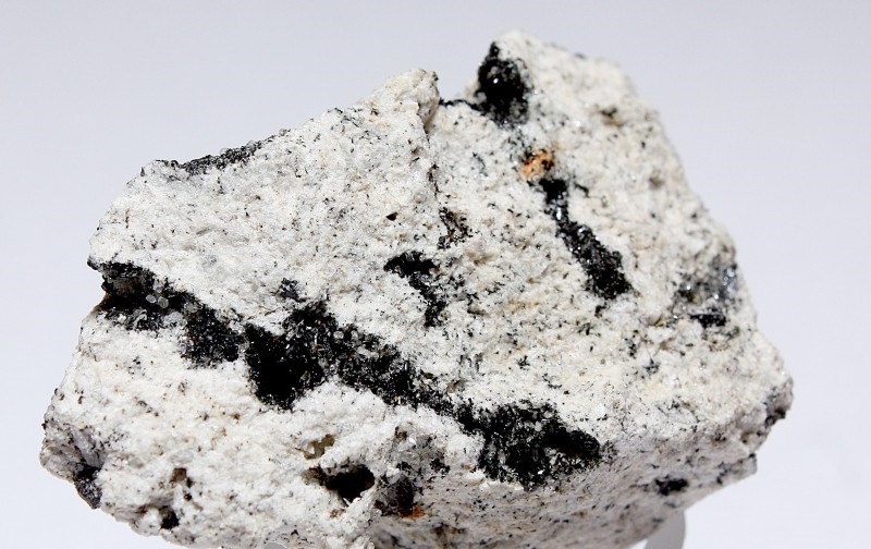 strahlende Schönheit