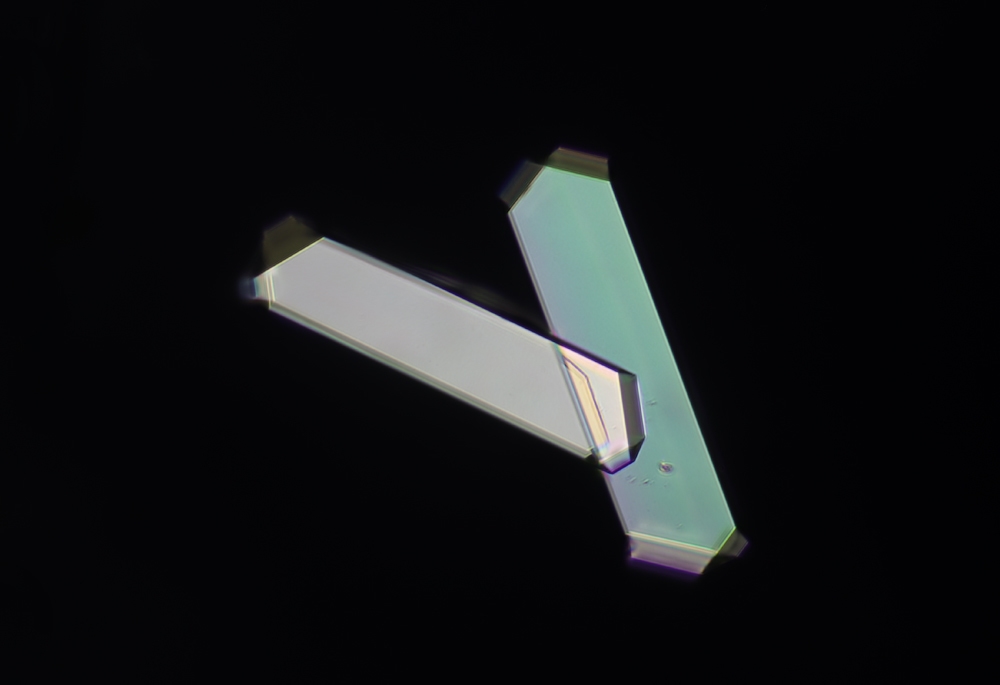 Die legendäre Hippursäure