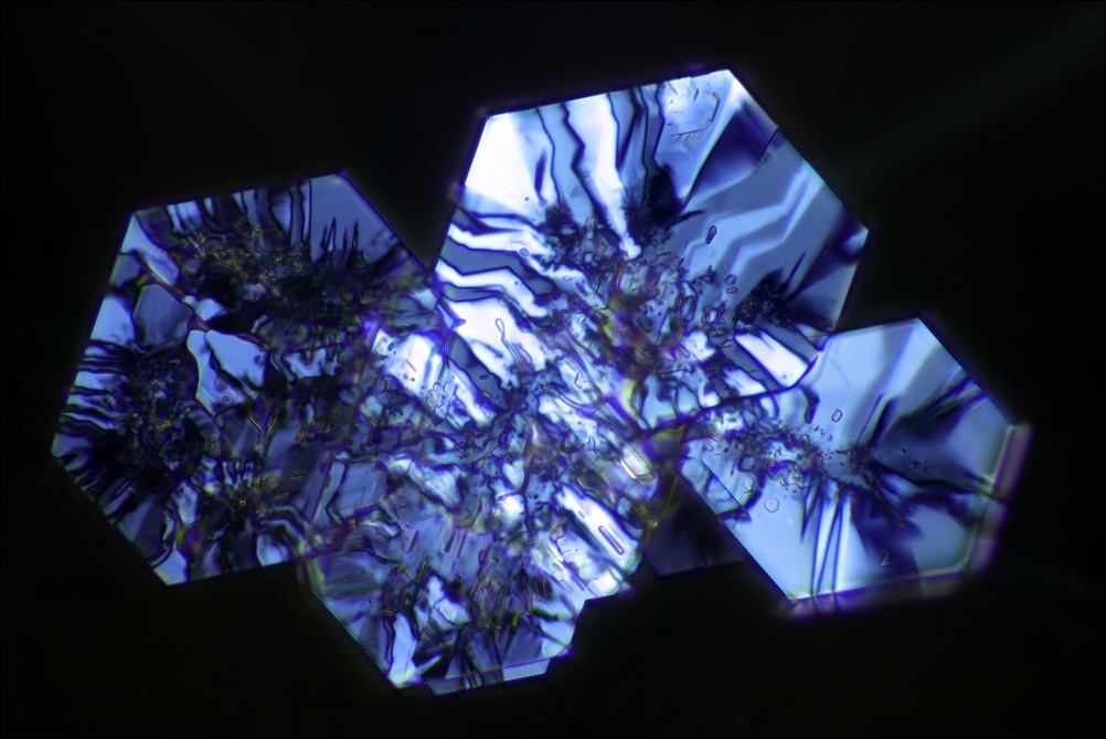 Resteverwertung Resteverwertung